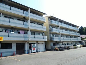 柘植貸しテナント