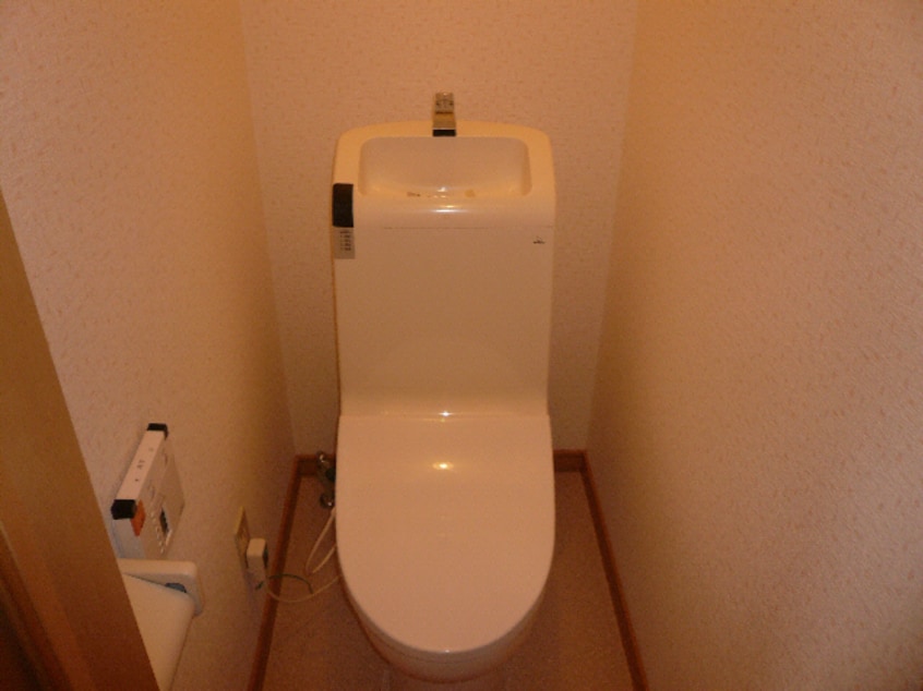  ステラートヒルズ