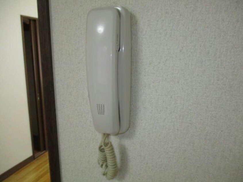  アルファ・ライフ