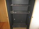  キャメロン深川