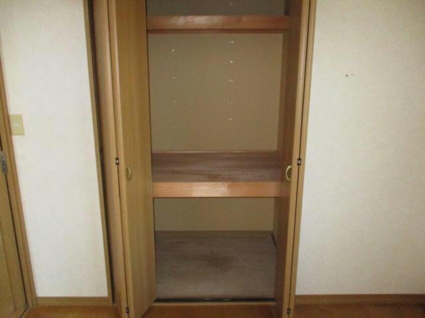  キャメロン深川