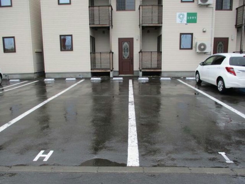  ひまわり