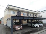プリマベーラ（春光）