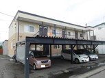 プリマベーラ（春光）