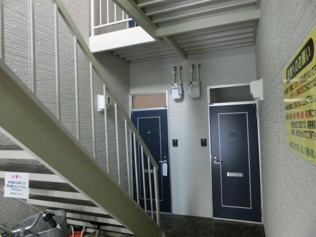  ステラコリーヌ