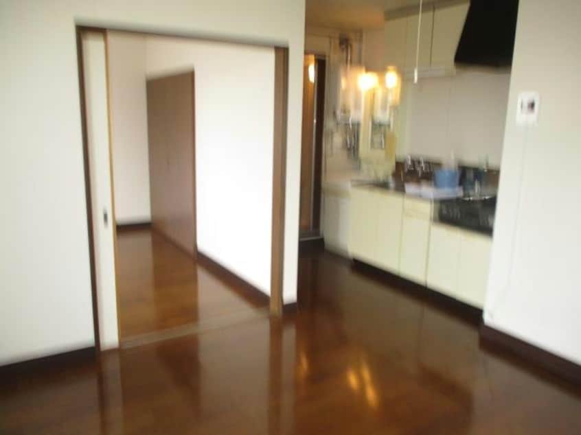  ピュアレジェイス春光