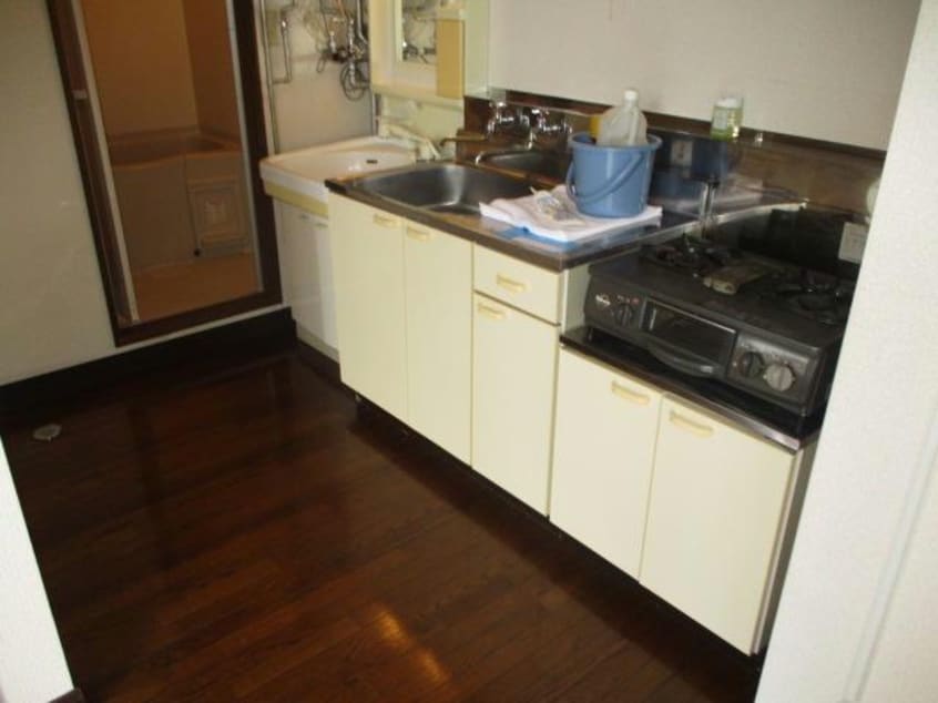  ピュアレジェイス春光