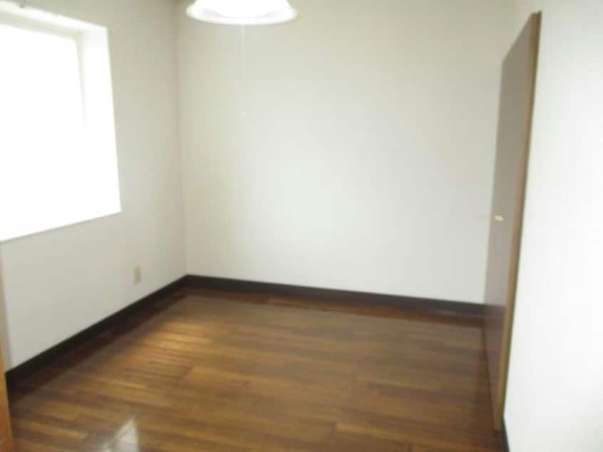  ピュアレジェイス春光