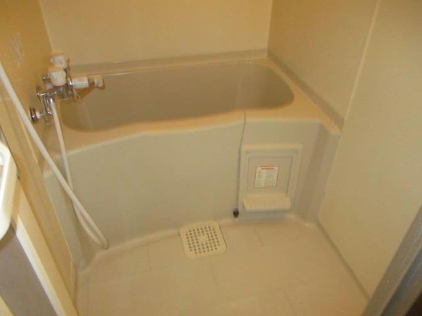  ピュアレジェイス春光