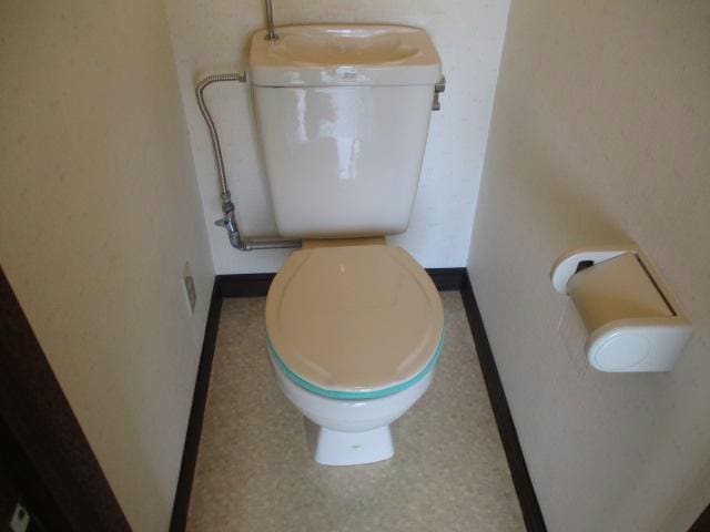  ピュアレジェイス春光