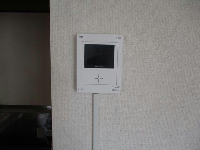  ピュアレジェイス春光