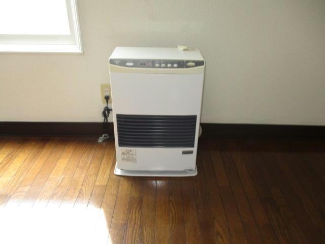  ピュアレジェイス春光