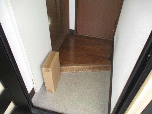  ピュアレジェイス春光