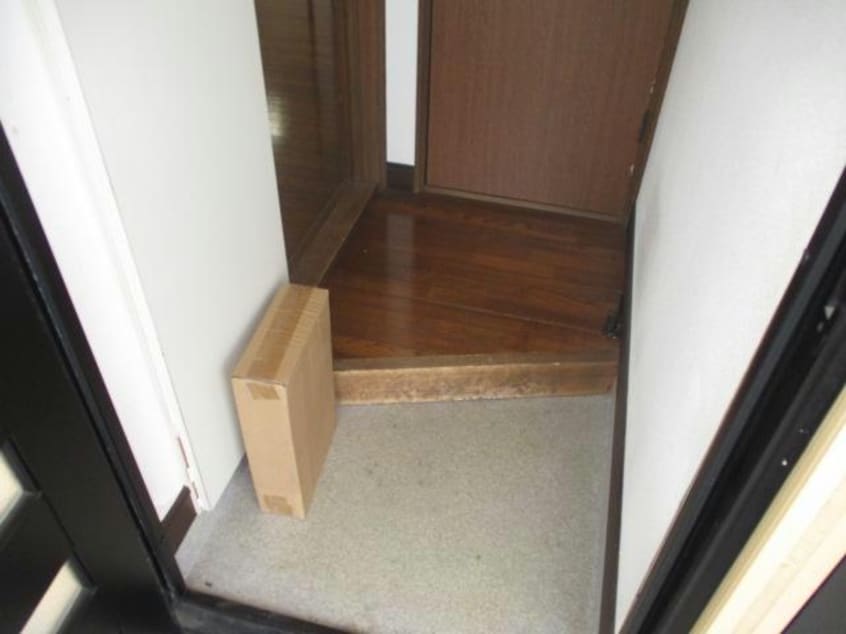  ピュアレジェイス春光