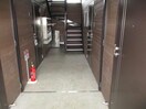  マヌカータcocoⅡ