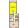 akua 1LDKの間取り
