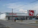 スギドラッグ鶴城店(ドラッグストア)まで1153m 名鉄西尾線/桜町前駅 徒歩5分 2階 築27年