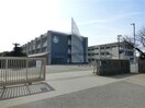 碧南市立大浜小学校(小学校)まで529m 名鉄三河線/碧南駅 徒歩19分 1階 築25年