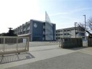 碧南市立大浜小学校(小学校)まで529m 名鉄三河線/碧南駅 徒歩19分 1階 築27年