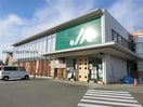 JAあいち中央碧南みなみ支店(銀行)まで1870m くるくるバス（碧南市）/熊野大神社 徒歩6分 1階 築21年