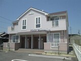 ピーコックＹ