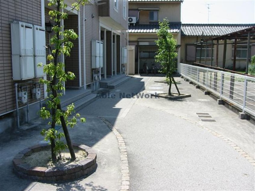  アビタシオン　キク