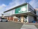 JAあいち中央碧南みなみ支店(銀行)まで2138m くるくるバス（碧南市）/岬町 徒歩2分 2階 築18年