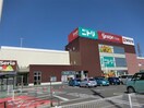ヤマナカ西尾寄住店(スーパー)まで687m 名鉄西尾線/桜町前駅 徒歩10分 1-2階 築27年