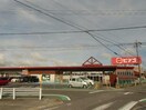 ピアゴ碧南東店(スーパー)まで316m くるくるバス（碧南市）/日進公民館 徒歩2分 1-1階 築22年