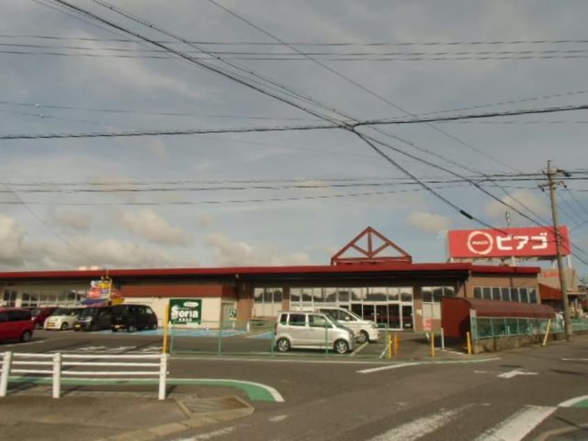 ピアゴ碧南東店(スーパー)まで316m くるくるバス（碧南市）/日進公民館 徒歩2分 1-1階 築22年