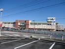 フィールいつも！(スーパー)まで2305m 名鉄西尾線/福地駅 徒歩2分 1-2階 築16年
