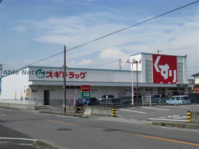 スギドラッグ鶴城店(ドラッグストア)まで804m 名鉄西尾線/桜町前駅 徒歩8分 2階 築17年