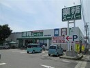 業務スーパー一色店(スーパー)まで1086m 名鉄西尾線/吉良吉田駅 徒歩41分 1-2階 築11年