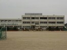 碧南市立棚尾小学校(小学校)まで599m 名鉄三河線/碧南駅 徒歩9分 6階 築28年