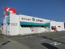 スギ薬局碧南新川店(ドラッグストア)まで1463m 名鉄三河線/北新川駅 徒歩11分 1階 築10年