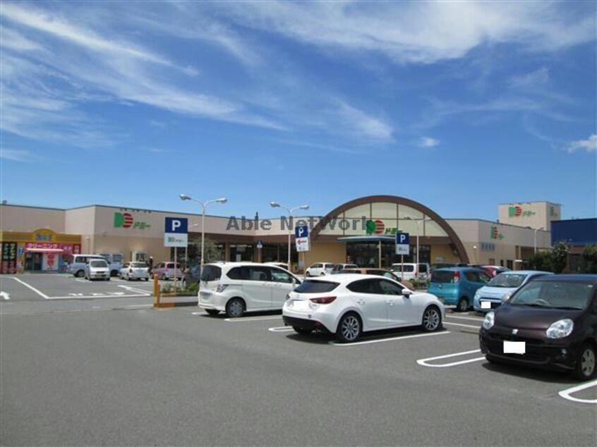 Seriaドミー吉良店(ディスカウントショップ)まで1011m ウッズホームⅢ、Ⅳ