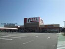 フィールAELU(スーパー)まで707m 六万石くるりんバス（寺津矢田線）/富山北 徒歩5分 6階 築33年