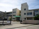 西尾市立矢田小学校(小学校)まで418m 六万石くるりんバス（寺津矢田線）/矢田小東 徒歩2分 1階 建築中