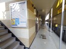 廊下、共用部 大和路線・関西本線/奈良駅 徒歩5分 2階 築18年