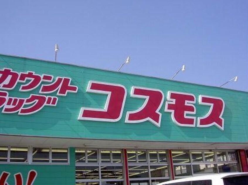 ディスカウントドラッグコスモス小林上町店(ドラッグストア)まで856m 濱田貸家（2階建）