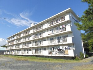 ロイヤル東海川越