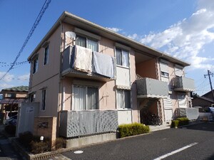 ミカーサ伊倉