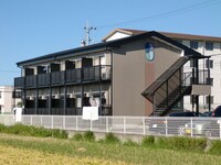 Surplusコスモス