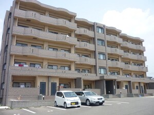 メゾンドハラール