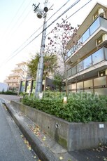 Ｋ緑地