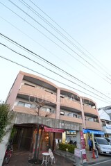 杏樹SENRIYAMA