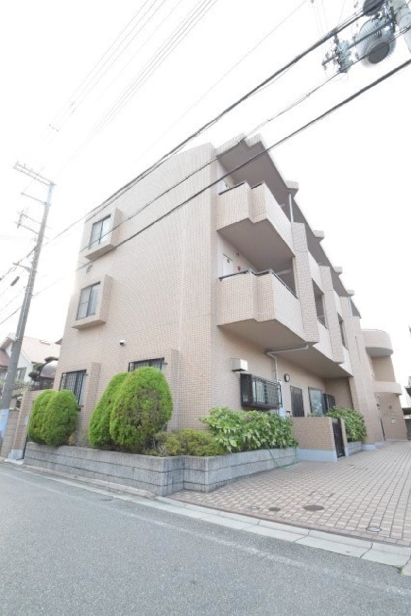  ピュアフォレスト