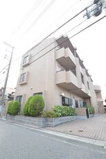 ピュアフォレスト