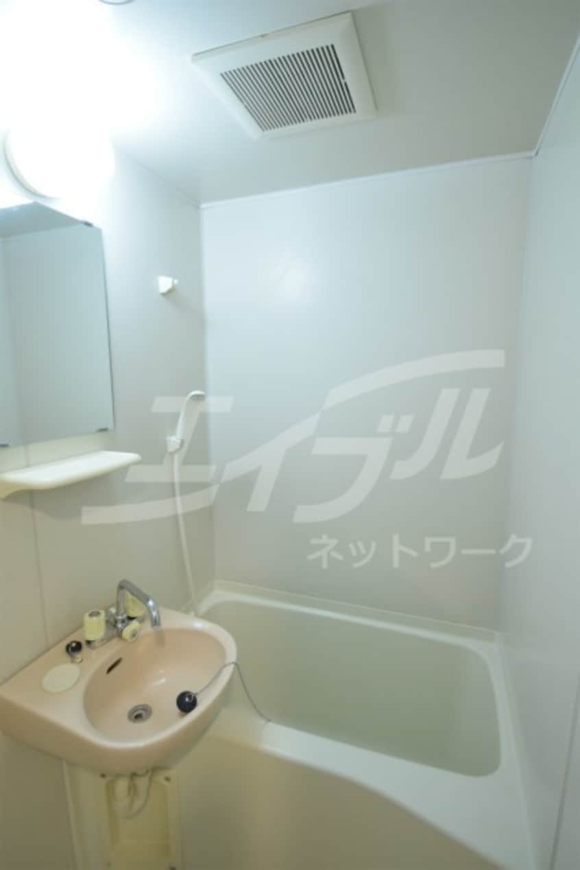  ピュアフォレスト