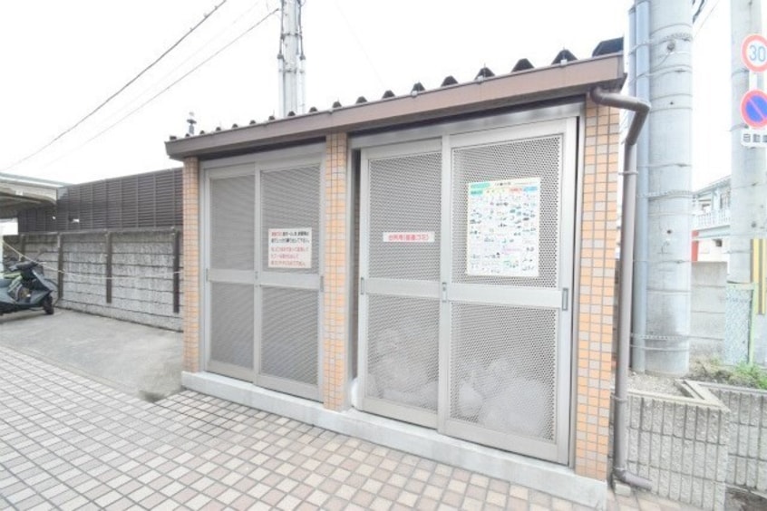  ピュアフォレスト